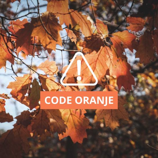 Code oranje storm